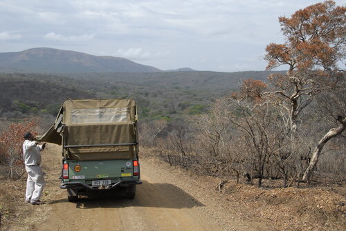 Africa Classroom Connection Safari